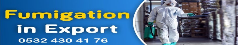 Fumigasyon